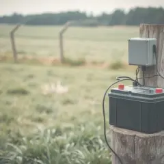 Jak zrobić uziemienie do pastucha, aby uniknąć problemów z działaniem