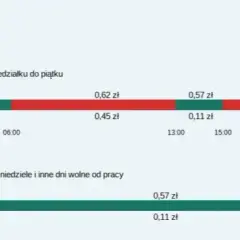 Ile kosztuje 1 kWh w taryfie G12w? Sprawdź ceny i oszczędności