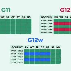 Taryfy G11, G12 i G12w pokazują godziny, w których można znaleźć najtańszego dostawcę prądu. Sprawdź, kiedy opłaca się zużywać energię.