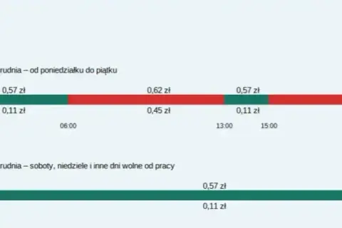 Ile kosztuje 1 kWh w taryfie G12w? Sprawdź ceny i oszczędności