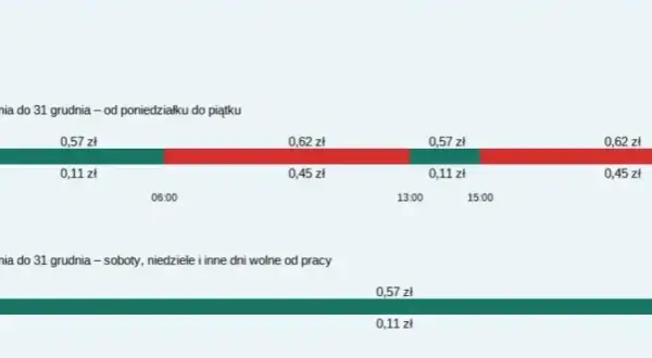 Ile kosztuje 1 kWh w taryfie G12w? Sprawdź ceny i oszczędności